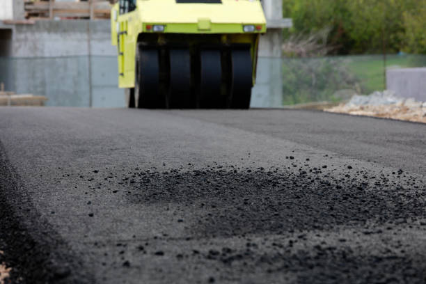 Best Driveway Pavers Contractor  in Rantoul, IL