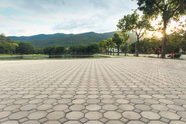 Best Interlocking Driveway Pavers  in Rantoul, IL