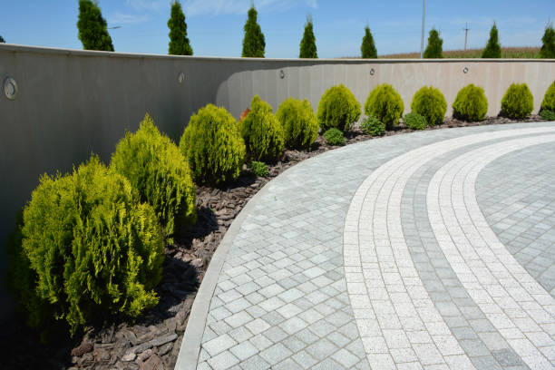 Best Driveway Paving Contractor  in Rantoul, IL